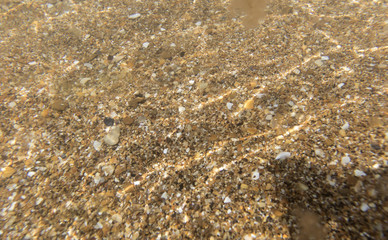 seabed, underwater photography