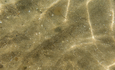 seabed, underwater photography