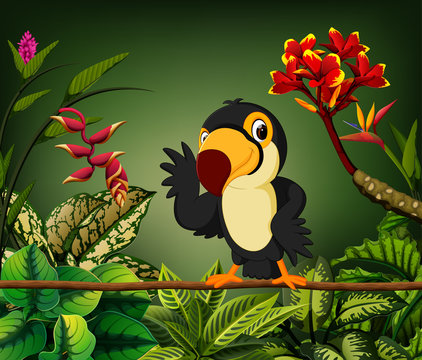the gentle toucan perch on the stalk with the happy face 
