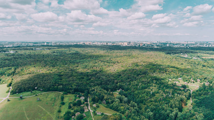 Obraz premium Aerial view of the forest.