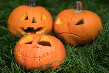 halloween pumpkin on grass. jack-o-lantern