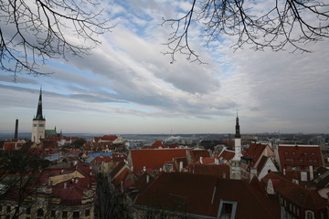 The red roofs of the City of Tallinn from the shingles as a trademark of this old Hanseatic city....