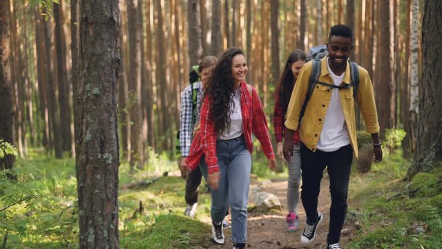 Happy young people in casual clothing are trekking in forest walking along path, talking and laughing enjoying nature and freedom. Youth and active lifestyle concept.