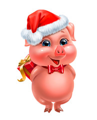 pig in santa claus cap with gift isolated on white