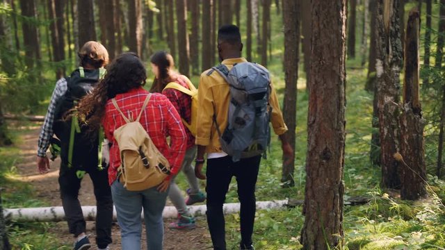 Rear view of cheerful young men and women tourists with knapsacks trekking in woods along wild path, enjoying beautiful nature and talking. People and forest concept.