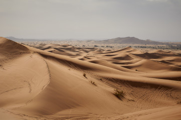 Fototapeta na wymiar sand, desert, dune, landscape, sky, nature, dunes, dry, blue, travel, sand dune, sahara, beach, hot, clouds, arid, summer, yellow, sandy, hill, heat, sun