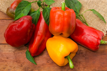 Varicolored bell peppers with twigs and leaves on wooden surface