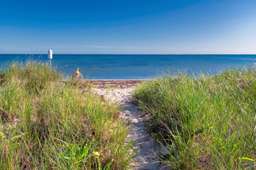 Fototapeta na wymiar Sand dunes on the beach at Cape Cod, Massachusetts, USA.