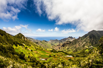 Landscape of green Tenerife island