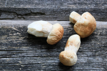 mushrooms on a wooden background