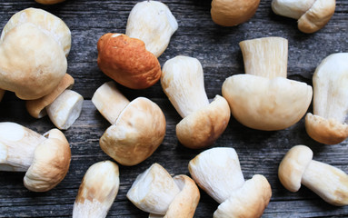 mushrooms on a wooden background