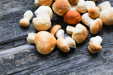 mushrooms on a wooden background