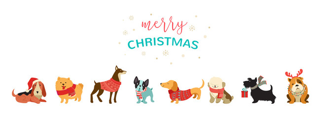 Collection of Christmas dogs, Merry Christmas illustrations of cute pets with accessories like a knited hats, sweaters, scarfs