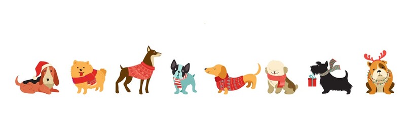 Collection of Christmas dogs, Merry Christmas illustrations of cute pets with accessories like a knited hats, sweaters, scarfs