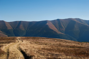 Beautiful landscape view of road in green mountains with cloudy sky, Ukraine, Carpathians,