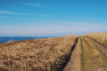 Beautiful landscape view of road in green mountains with cloudy sky, Ukraine, Carpathians,