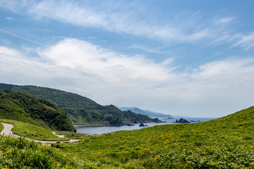 大野亀のトビシマカンゾウ