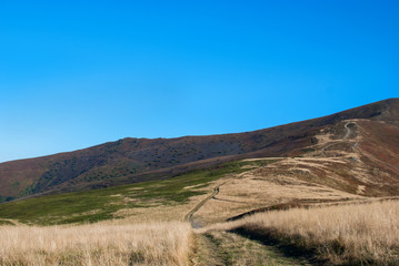 Beautiful landscape view of road in green mountains with cloudy sky, Ukraine, Carpathians,