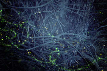 Abstract and magical image of Firefly flying in the night forest. Fairy tale concept.