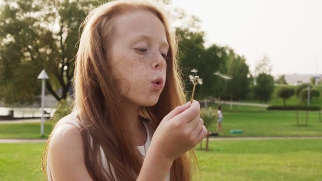 Beautiful red-haired little girl with freckles blowing on dandelion in park