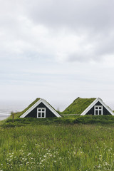scenic view Black farmhouses in Skaftafell National Park in Iceland