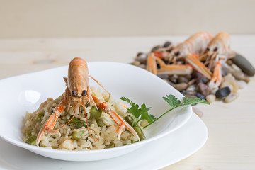 risotto with asparagus and escapes on the white background