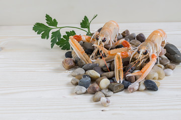 Mediterranean escapes on stones against a light background close-up