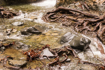 Autumn landscape nature in Troodos mountains, Cyprus