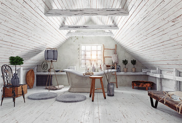  attic bathroom interior.