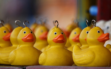 Hook a duck fair ground / carnival game