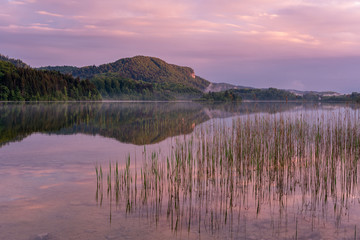 French landscape - Jura. View over the lake of Ilay in the Jura mountains (France) at sunrise with reeds in the foreground.