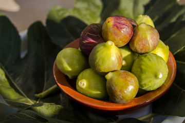 fresh figs in sunlight, in the clay bowl, Apulia, Italian fruit