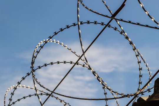 Barbed wire on blue sky background