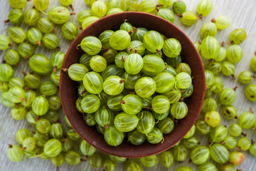 green fresh gooseberry berry