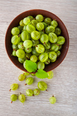 green fresh gooseberry berry