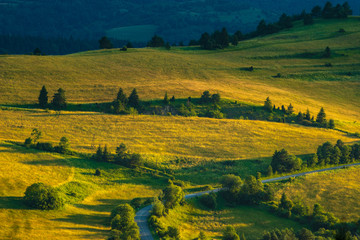 Fototapeta na wymiar meadow in Slovak mountains at sunset