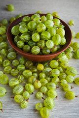 green fresh gooseberry berry