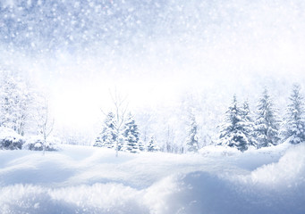 Winter Christmas scenic background with copy space. Snow landscape with fir-trees covered with snow, snowdrifts and snowfall against the sky on nature outdoors, copy space, toned blue.
