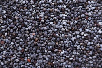 poppy seeds on background