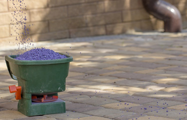 Manual fertilizing of the lawn in back yard in spring time. Close up