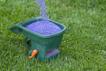 Manual fertilizing of the lawn in back yard in spring time. Close up