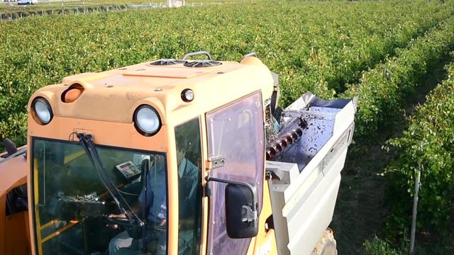 grape harvester machine