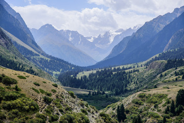 Fototapeta na wymiar Mountain valley with a fast river