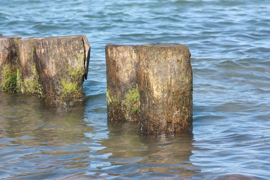 Dalben in der Ostsee