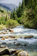 Fast river going into the mountains through the forest