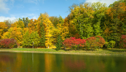 Obraz premium Beautiful autumn trees and bushes in the park. Colorful trees on a bank of lake or river. Autumn landscape.