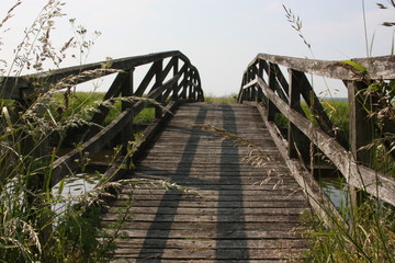 Holz Brücke Steeg