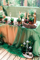 Rustic wedding decor in Eco style with different elements candles, bottles, sawed wood, branches, nuts, feathers and green leaves.