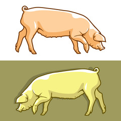 Cute pig - vector illustration. Color drawing of single pork animal, graphic arts and cartoon design style. 