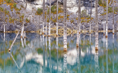 Majestic view of the sunken forest in Kaindy lake, Kazakhstan.